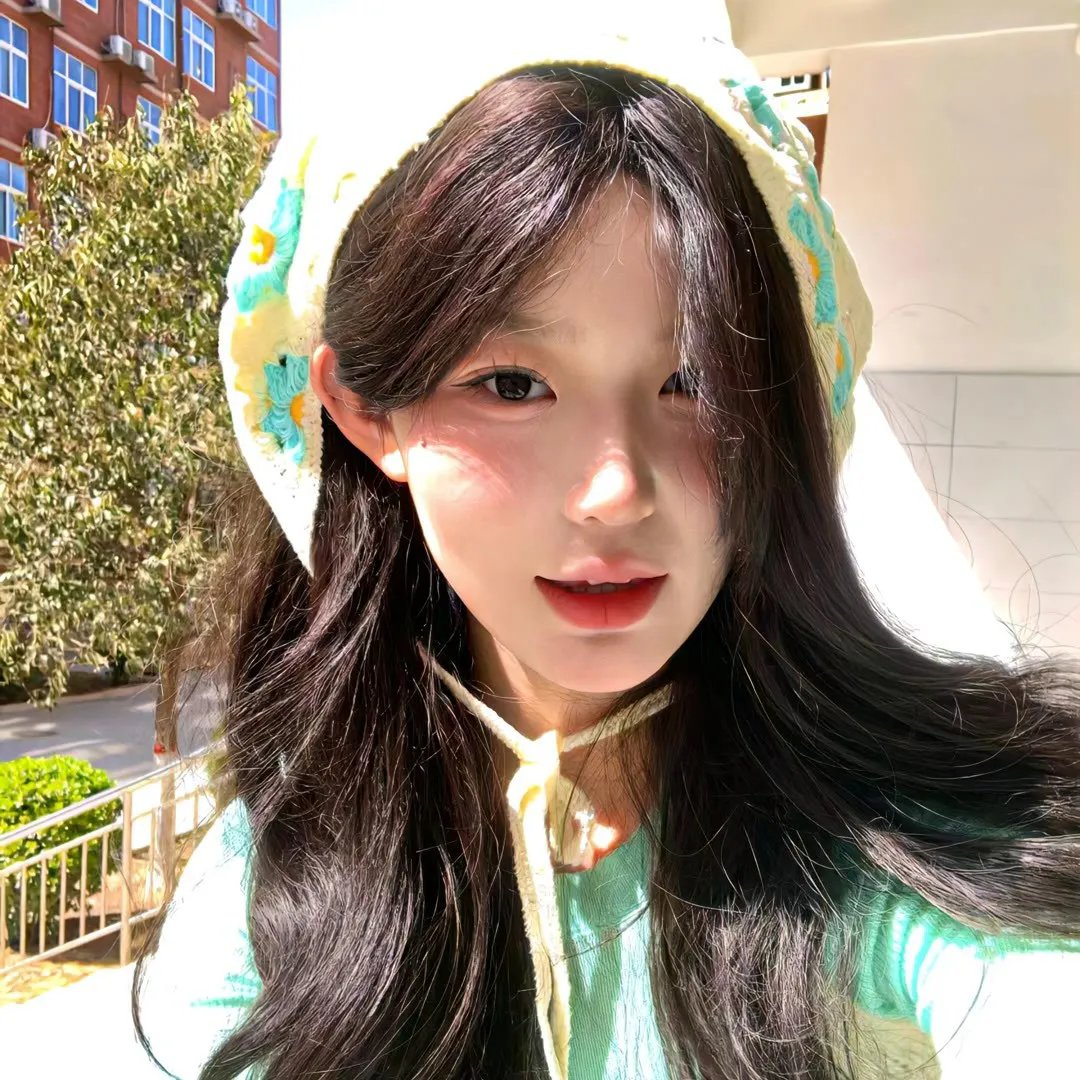 菊石
